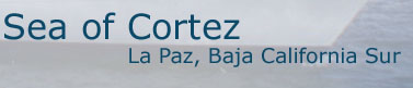 Baja boat rentals, Sea of Cortez. La Paz, Baja California Sur