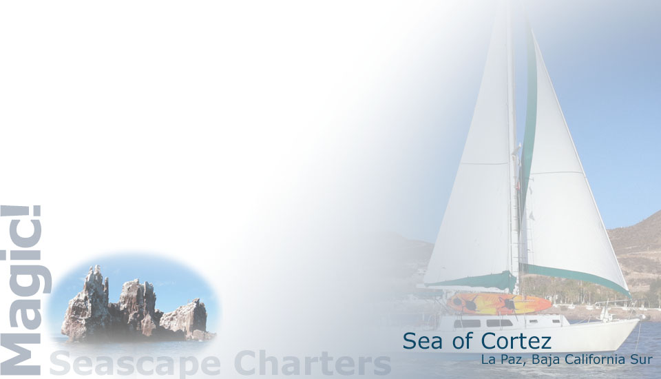 Seascape Charters - Sailboat, Powerboat, and RV Chartering in La Paz Mexico.