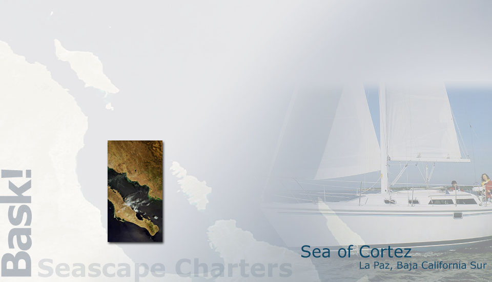 Seascape Charters - Sailboat, Powerboat, and RV Chartering in La Paz Mexico.