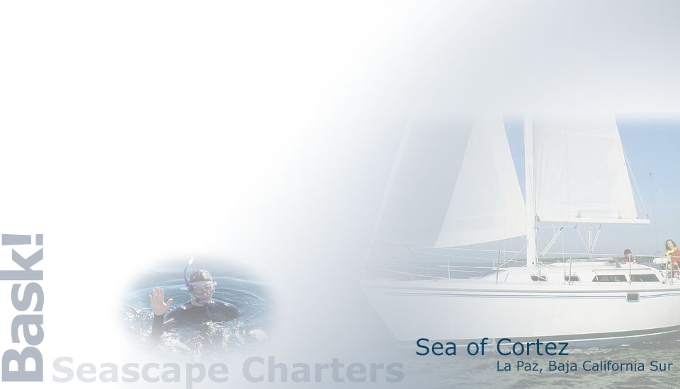 Seascape Charters - Sailboat, Powerboat, and RV Chartering in La Paz Mexico.