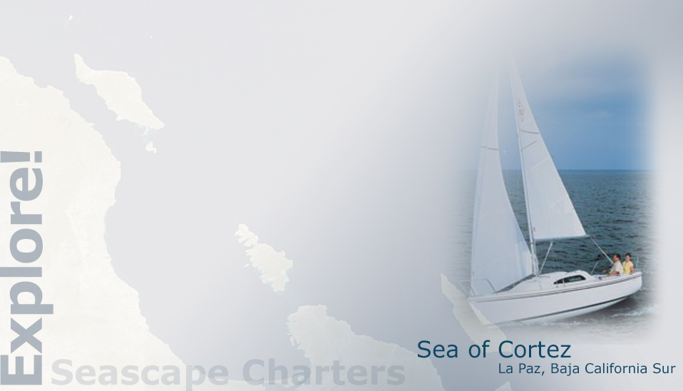 Seascape Charters - Sailboat, Powerboat, and RV Chartering in La Paz Mexico.