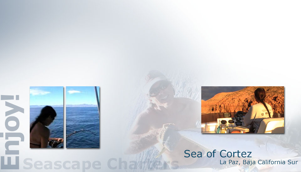 Seascape Charters - Sailboat, Powerboat, and RV Chartering in La Paz Mexico.