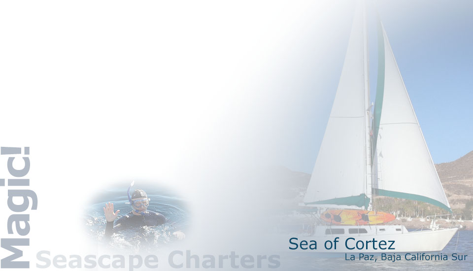 Seascape Charters - Sailboat, Powerboat, and RV Chartering in La Paz Mexico.