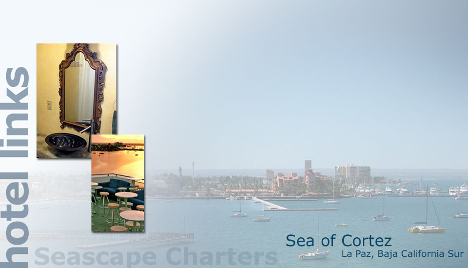 Seascape Charters - Sailboat, Powerboat, and RV Chartering in La Paz Mexico.