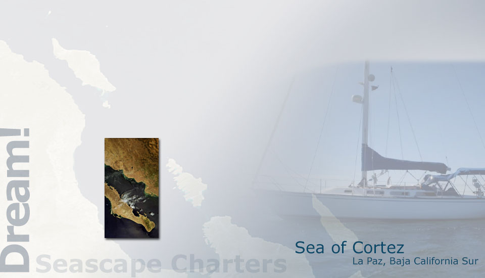 Seascape Charters - Sailboat, Powerboat, and RV Chartering in La Paz Mexico.