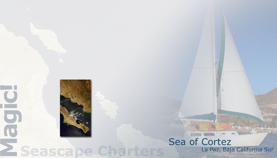 Seascape Charters - Sailboat, Powerboat, and RV Chartering in La Paz Mexico.