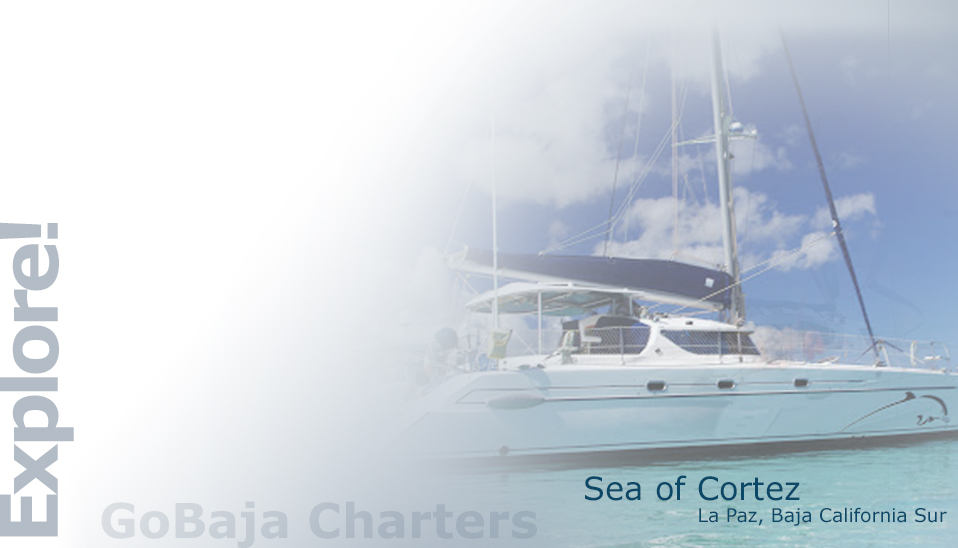 Seascape Charters - Sailboat, Powerboat, and RV Chartering in La Paz Mexico.