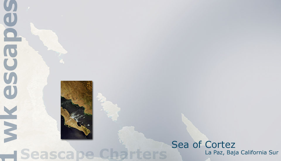 Seascape Charters - Sailboat, Powerboat, and RV Chartering in La Paz Mexico.