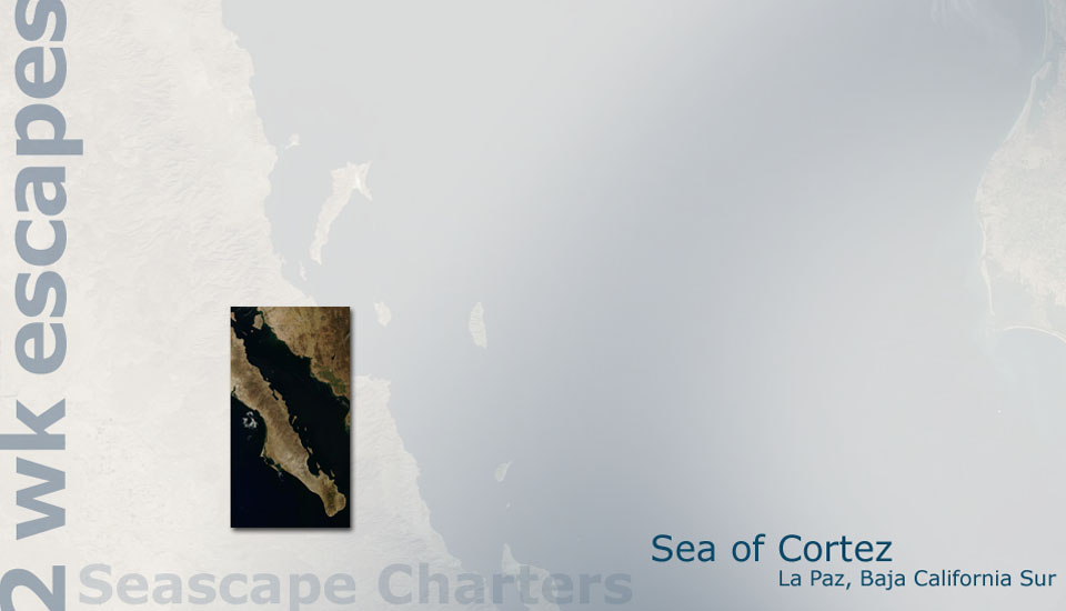 Seascape Charters - Sailboat, Powerboat, and RV Chartering in La Paz Mexico.